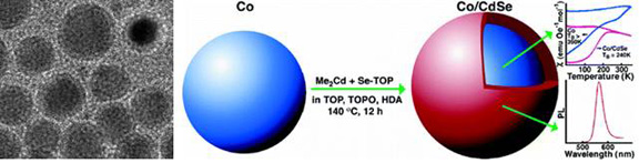 Cobalt/CdSe core shell nanocrystals